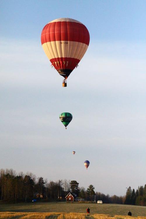 SM i ballongflyg 2024 arrangerades av Dalslands Ballongklubb.